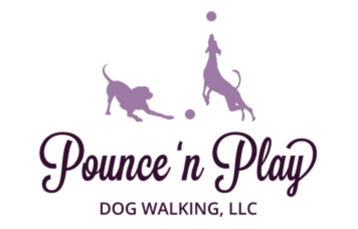 Pounce ‘n Play Dog Walking